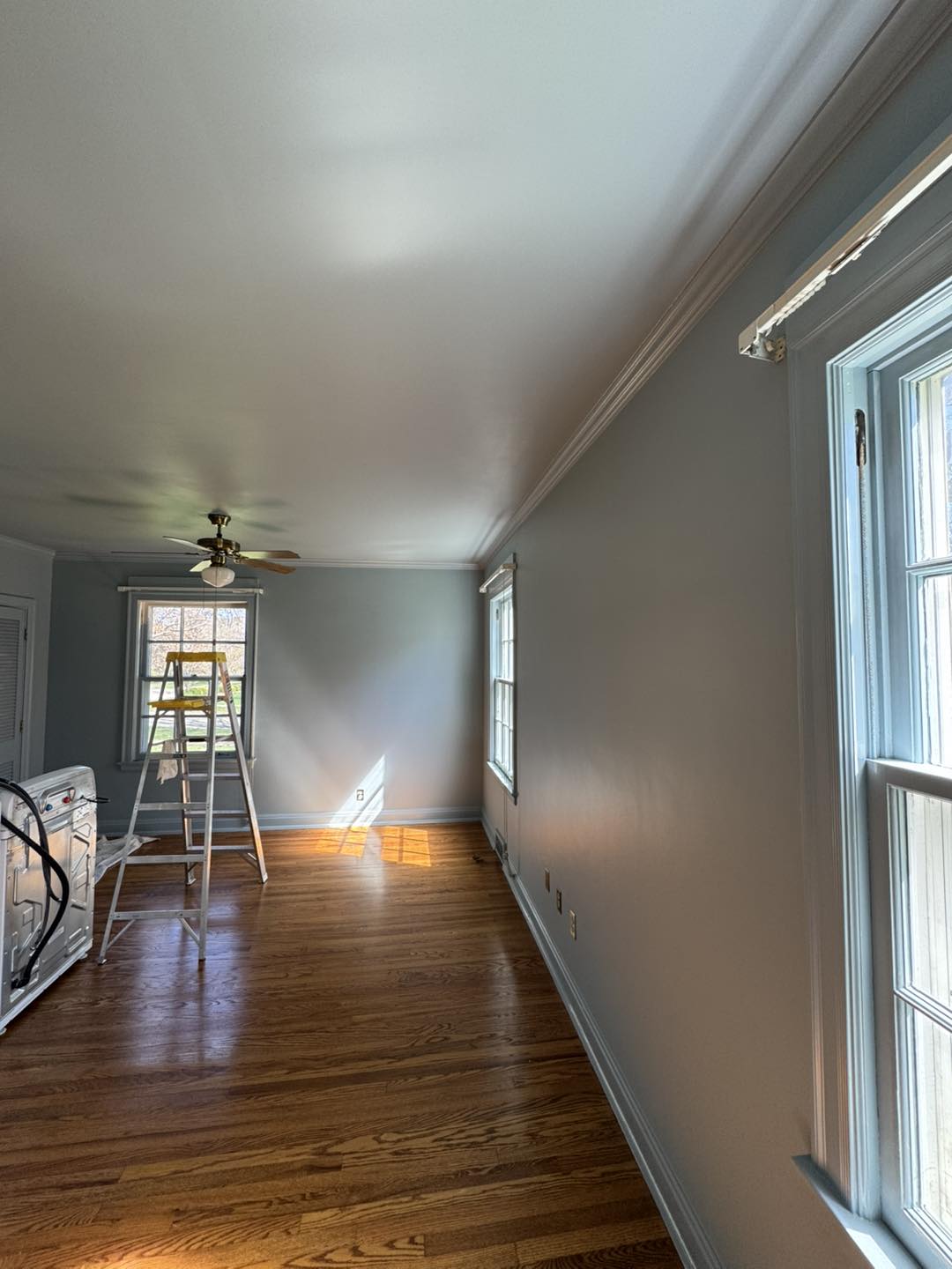 Interior and exterior painting